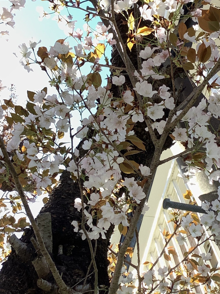 Line_album__220331_8