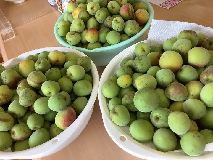 Line_album__220530_9